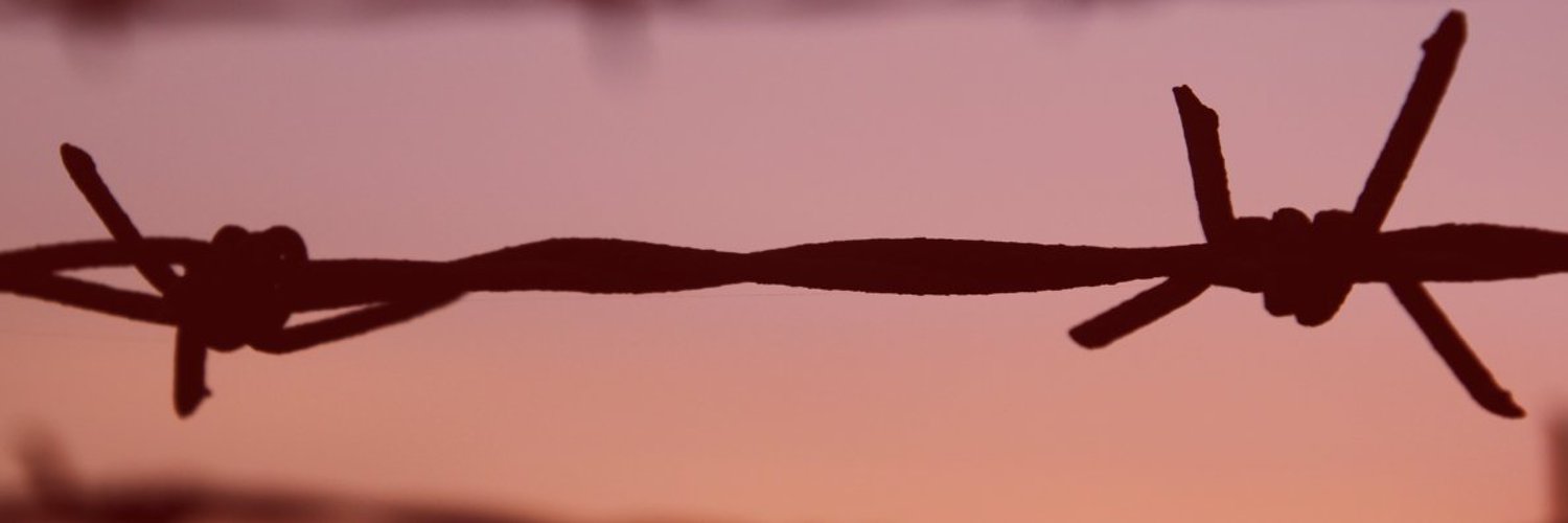 The Voices of War RussoUkrainian War The Cove